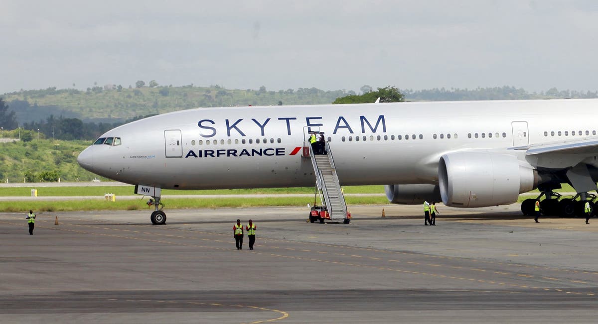 Air France bomb scare Expoliceman detained after fake explosive